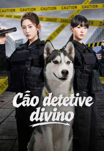Cão detetive divino