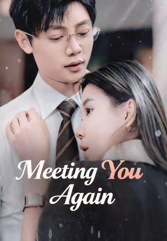 Meeting You Again