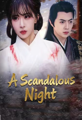 A Scandalous Night