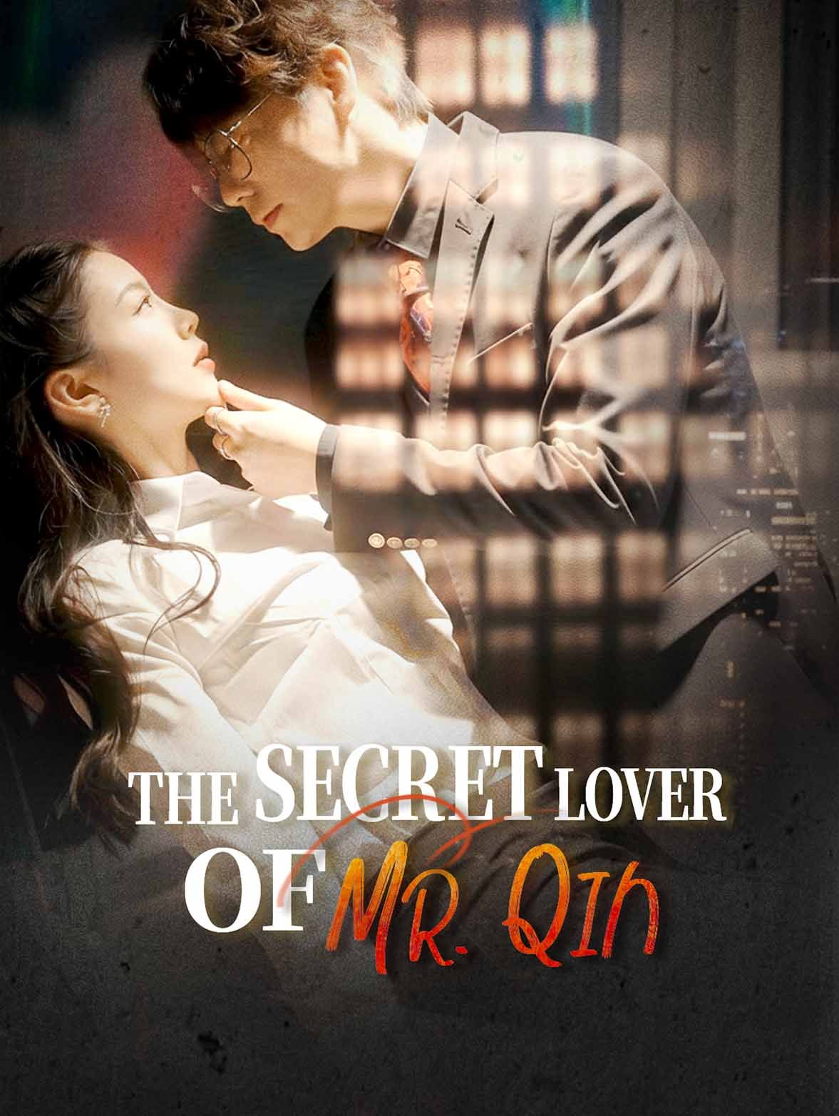 The Secret Lover of Mr. Qin
