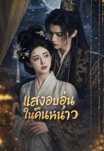 แสงอบอุ่นในคืนหนาว