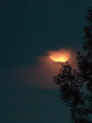 Luna kutukan sang raja
