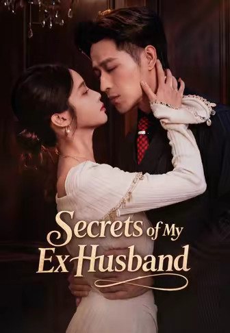 Secrets of My Ex Husband