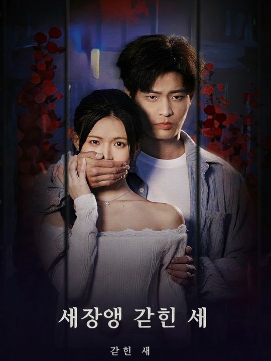 새장에 갇힌 새