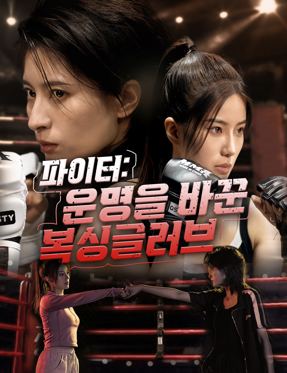 파이터: 운명을 바꾼 복싱글러브