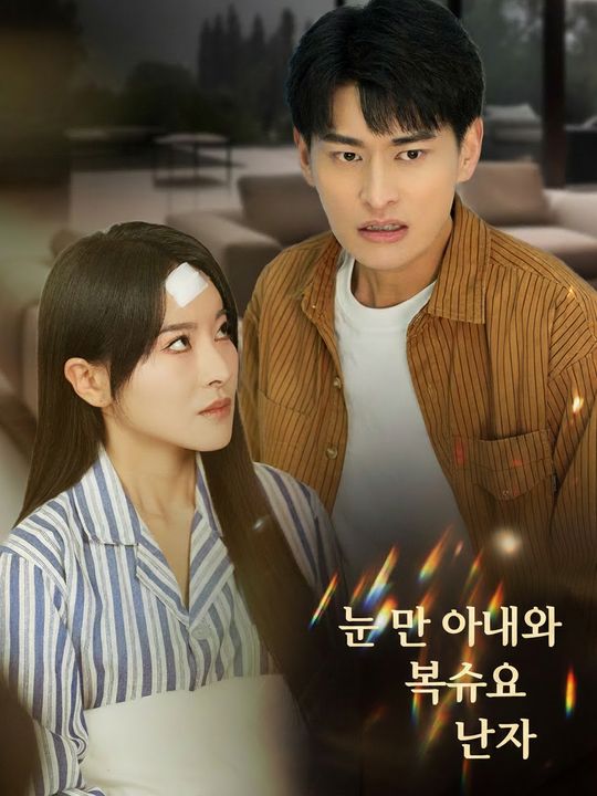 눈 먼 아내와 복수의 남자