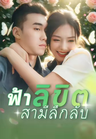 ฟ้าลิขิตสามีลึกลับ