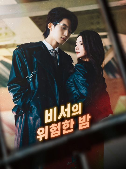 비서의 위험한 밤