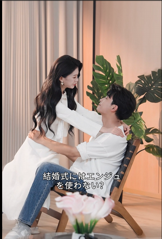 囚われ姫と復讐者