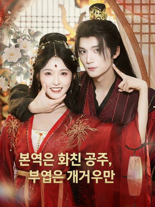 본업은 화친 공주, 부업은 개그우먼