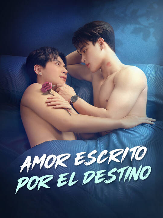 Amor Escrito por el Destino