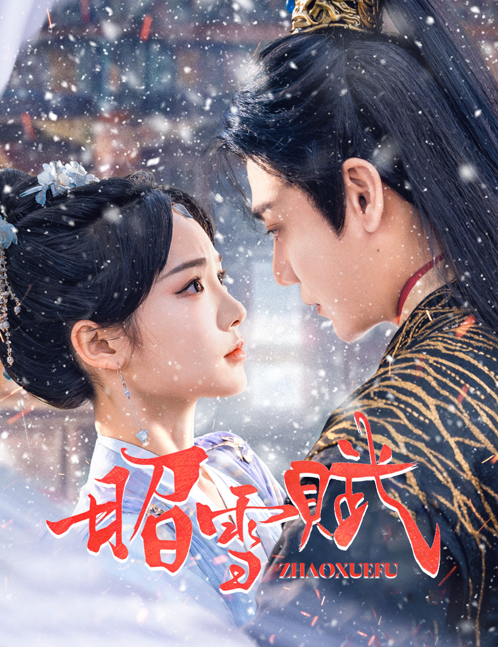 昭雪賦
