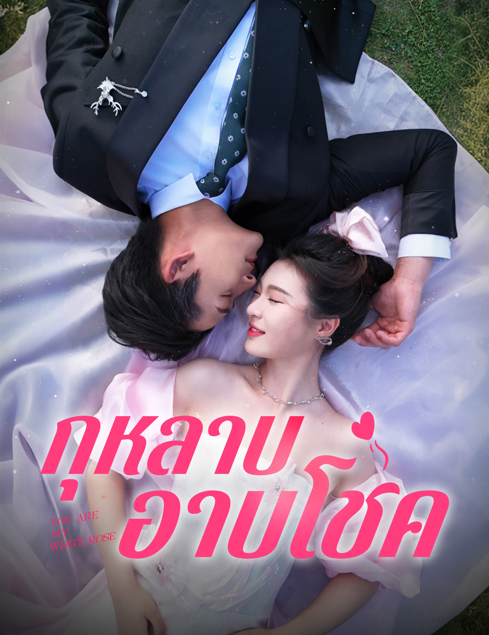 กุหลาบอาบโชค