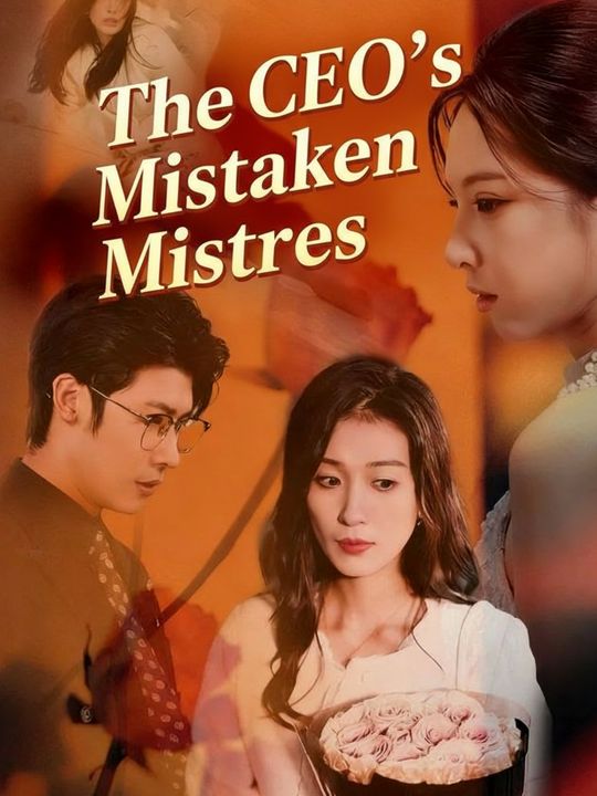 The CEO's Mistaken Mistress