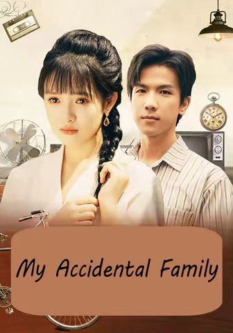 My Accidental Family