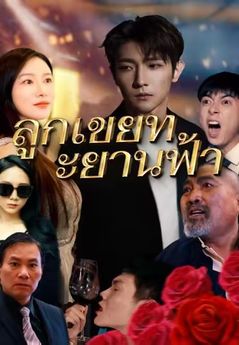ลูกเขยทะยานฟ้า