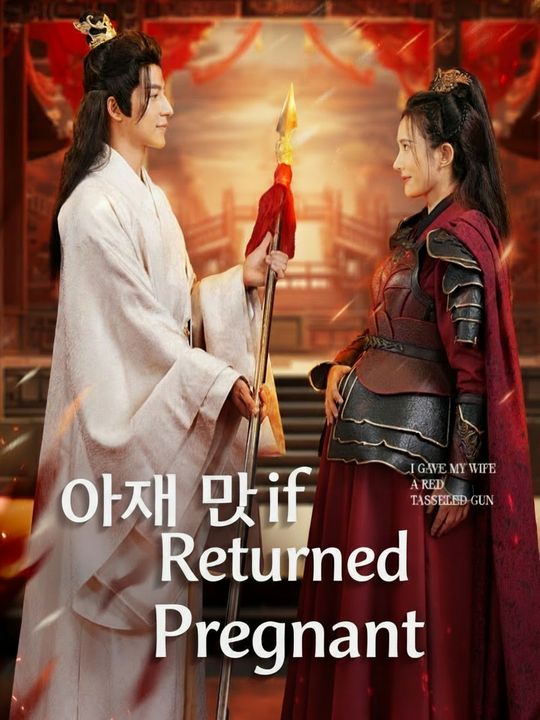 알고 보니 내 남편은 대원수