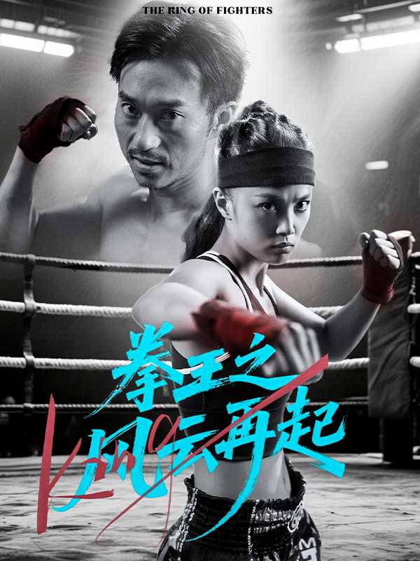拳王之风云再起