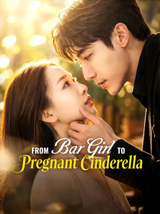 From Bar Girl to Pregnant Cinderella