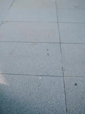 Istriku menjualku demi uang