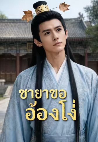 ชายาของอ๋องโง่