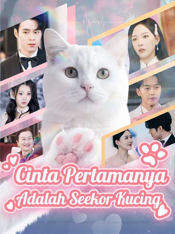 Cinta Pertamanya Adalah Seekor Kucing