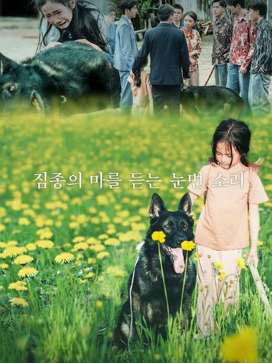 짐승의 말을 듣는 눈먼 소녀