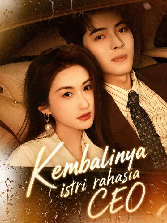 Kembalinya istri rahasia CEO