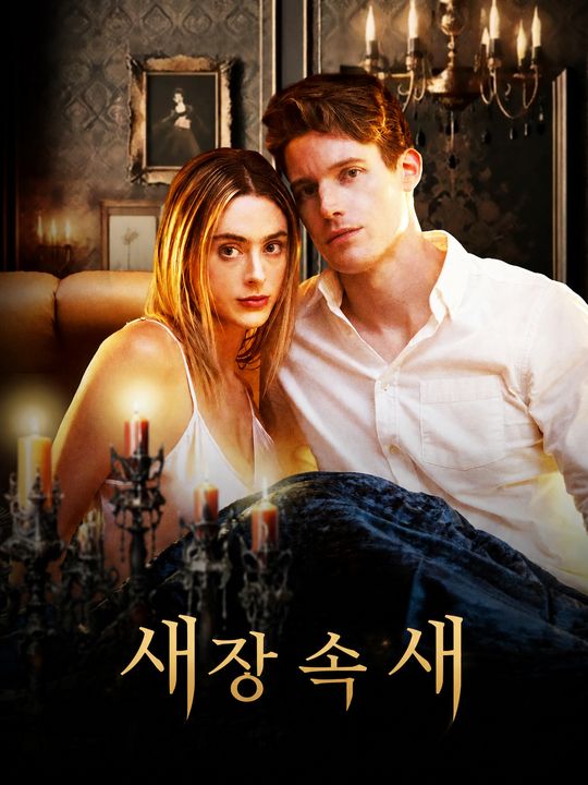 새장 속 새