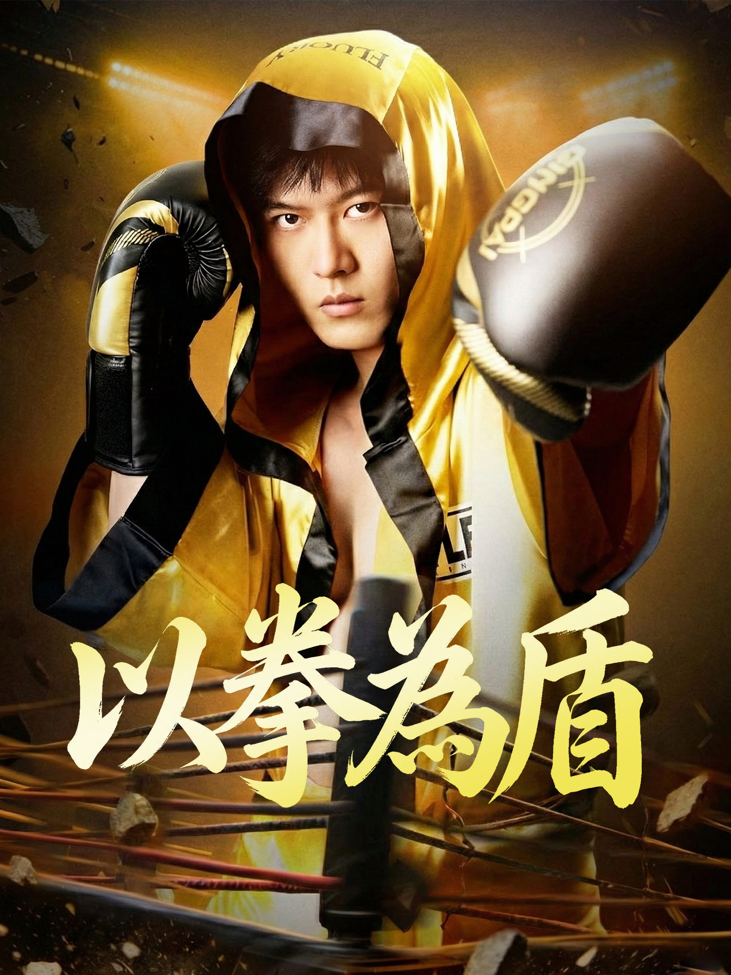 以拳為盾