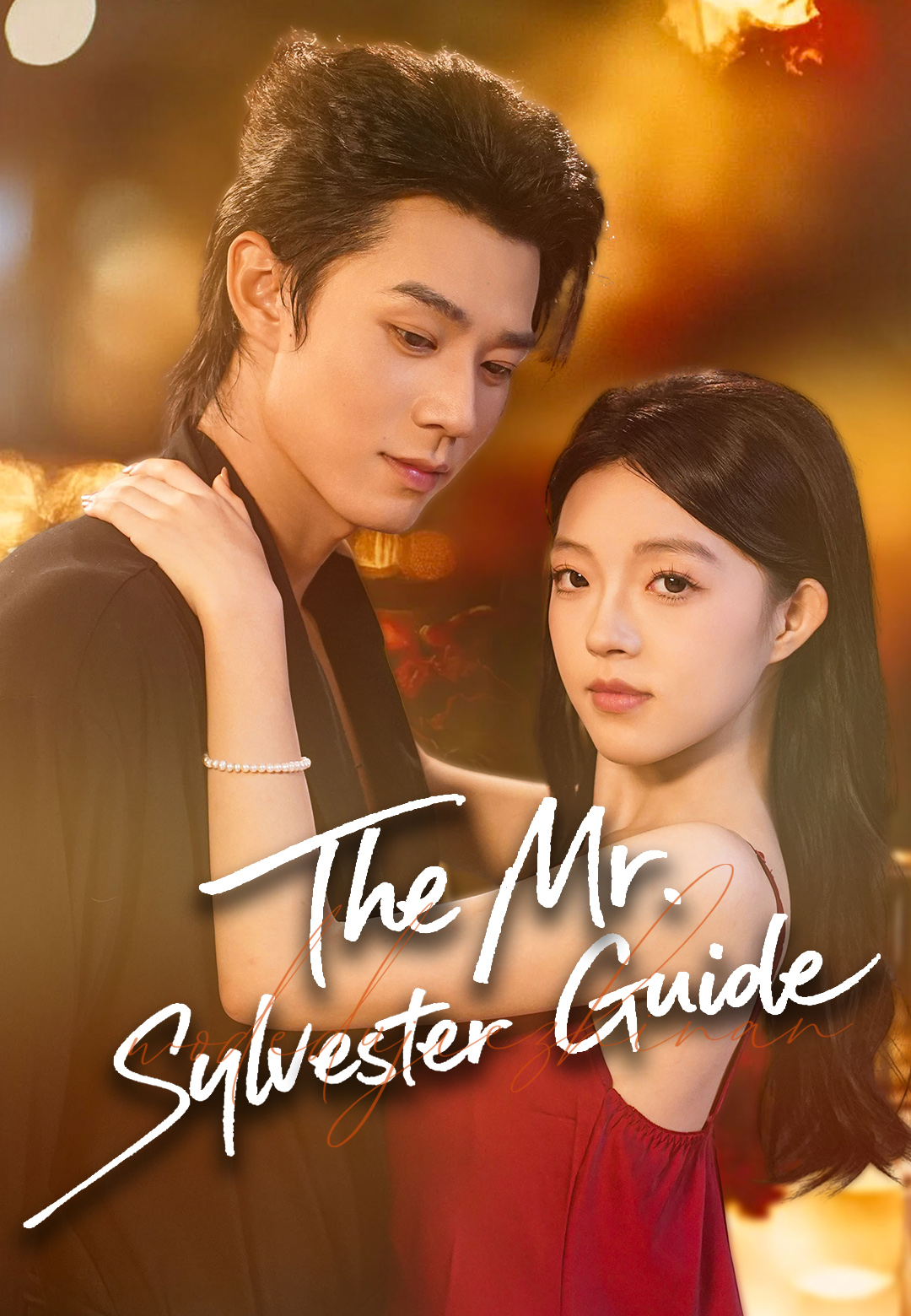 The Mr. Sylvester Guide