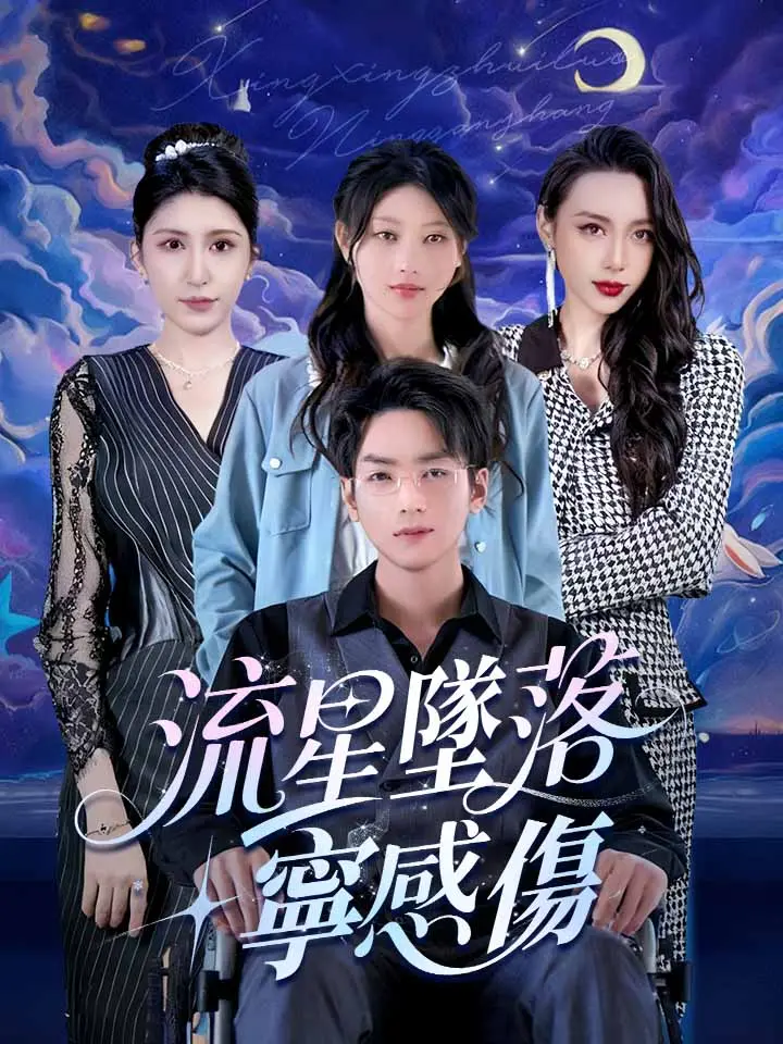 流星墜落寧感傷
