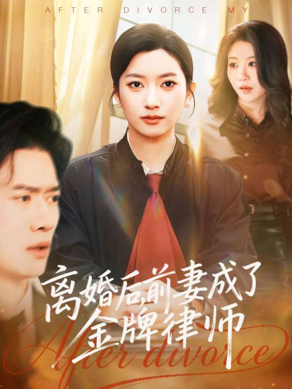 離婚後前妻成了金牌律師