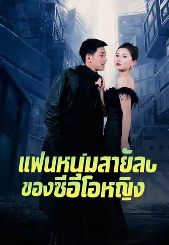แฟนหนุ่มสายลับของซีอีโอหญิง