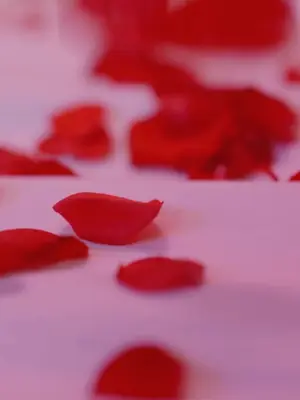 결혼 뒤 그의 비밀