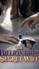The Billionaire's Hidden Wife (2024)