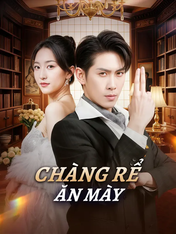 Chàng Rể Ăn Mày(Phiên bản lồng tiếng)