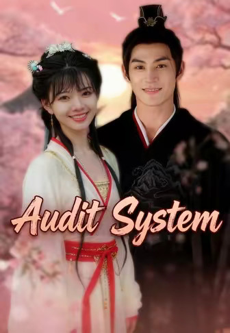 Audit System