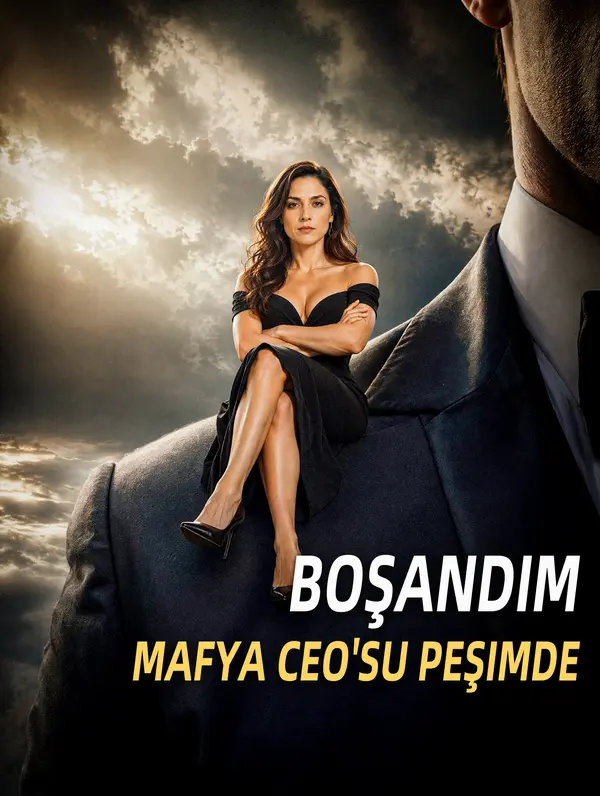 Boşandım, Mafya CEO'su Peşimde