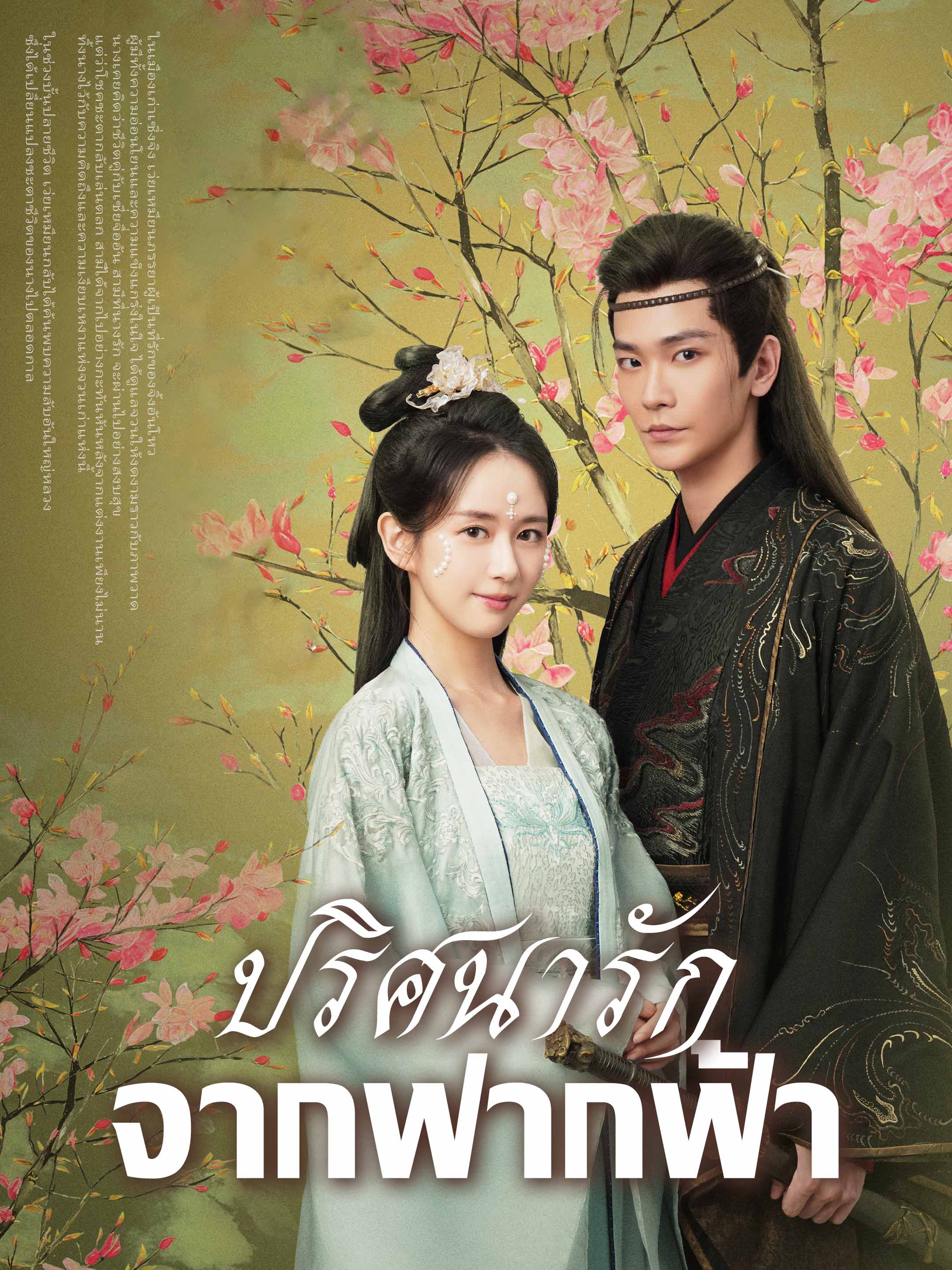 ปริศนารักจากฟากฟ้า