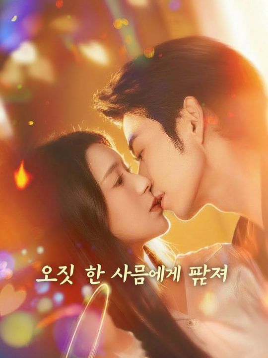오직 한 사람에게 빠져