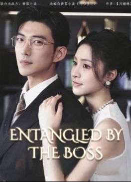 Entangled by the Boss (2024)