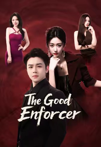 The Good Enforcer