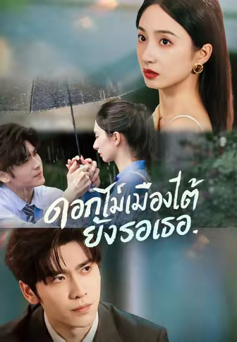 ดอกไม้เมืองใต้ยังรอเธอ