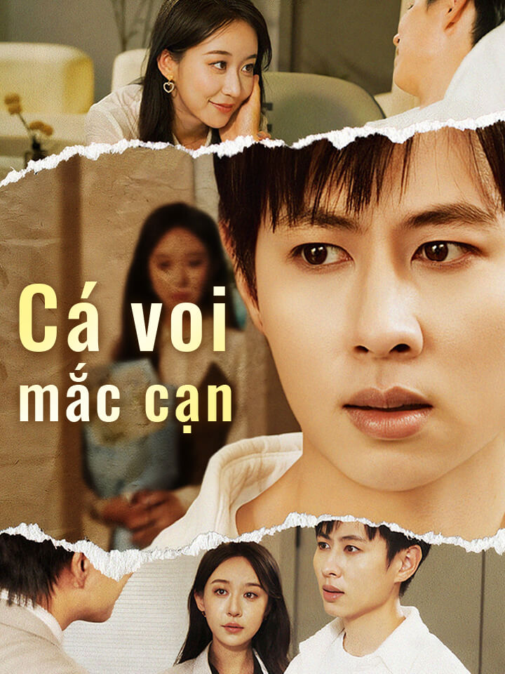 Cá voi mắc cạn