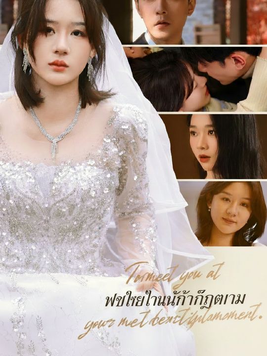 พบเธอในวันที่งดงาม
