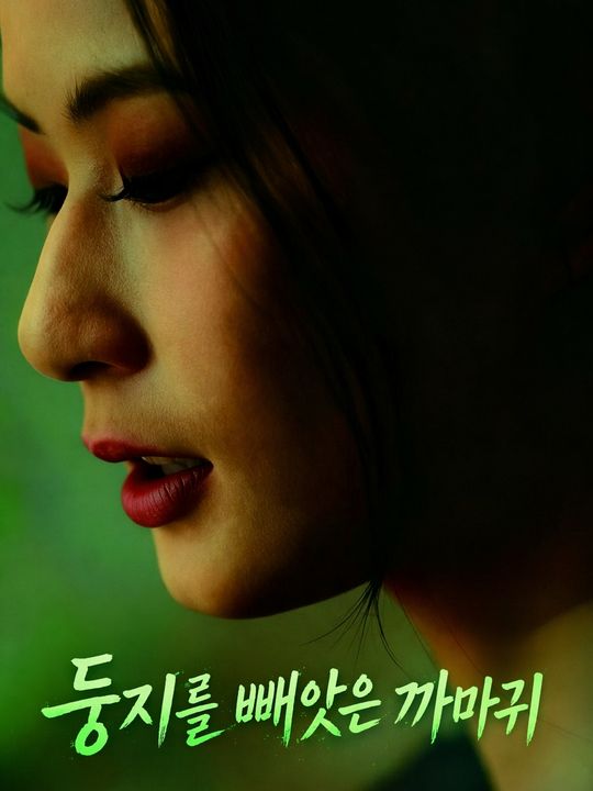 둥지를 빼앗은 까마귀