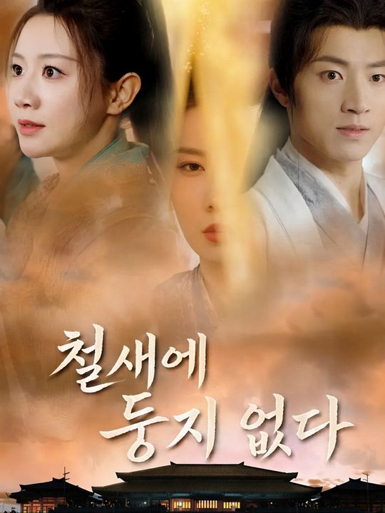 철새에 둥지 없다