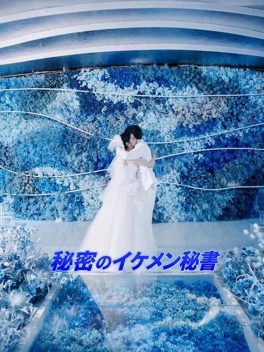 秘密のイケメン秘書