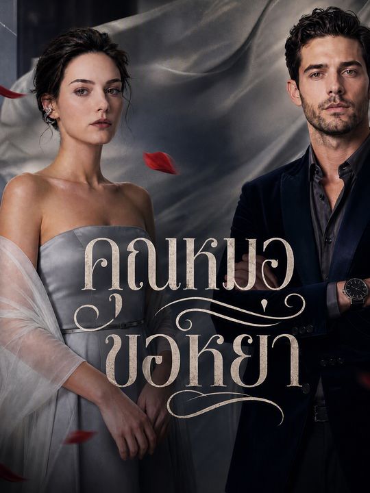 คุณหมอขอหย่า